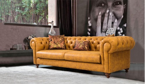 Asil Koltuk Takımı